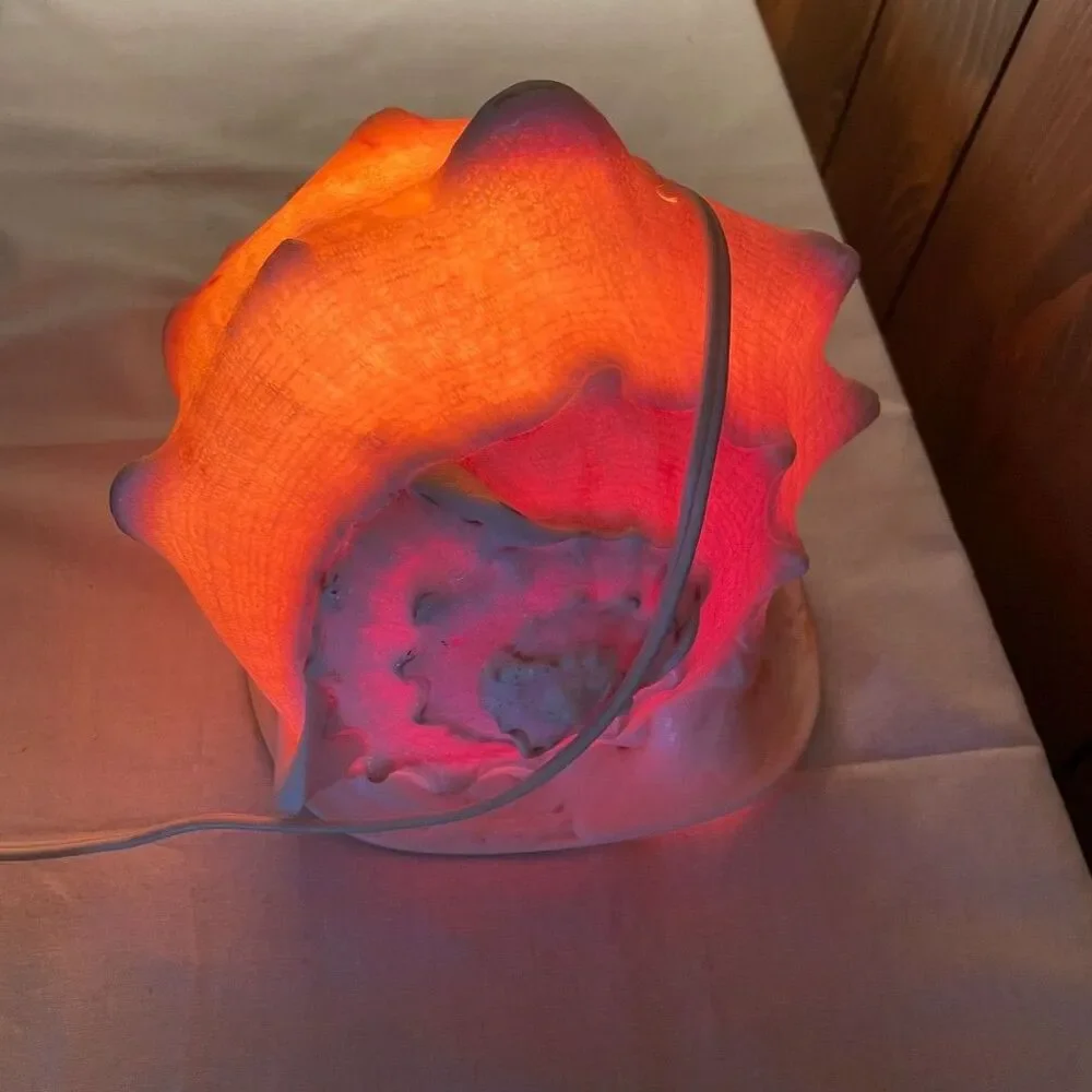 Queen conch shell lamp